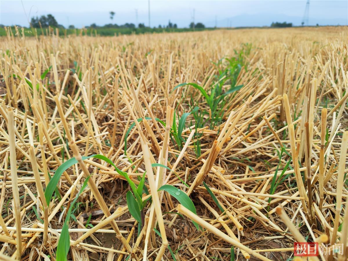 f58e4e70e3614b20fbcd8ee736b682e.jpg f58e4e70e3614b20fbcd8ee736b682e.jpg