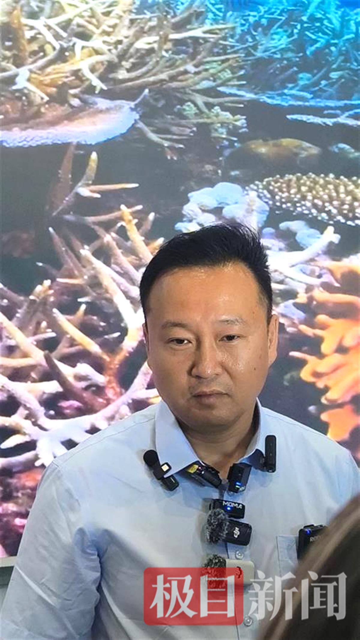 IMG20240619092733_01.jpg IMG20240619092733_01.jpg