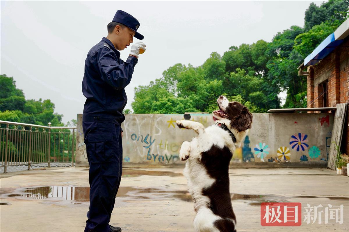 微信图片_20240618170208.jpg 微信图片_20240618170208.jpg