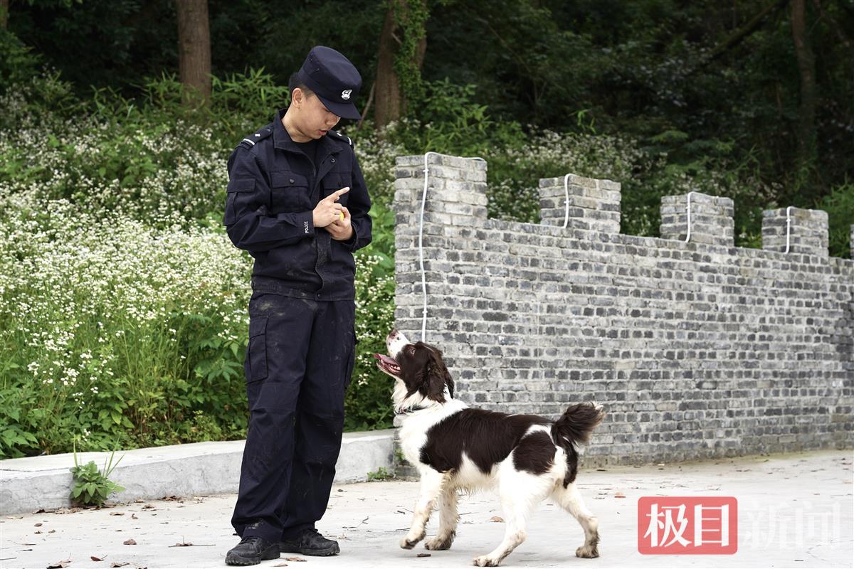 微信图片_20240618170217.jpg 微信图片_20240618170217.jpg