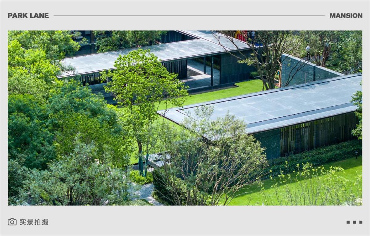 图片8.png 图片8.png