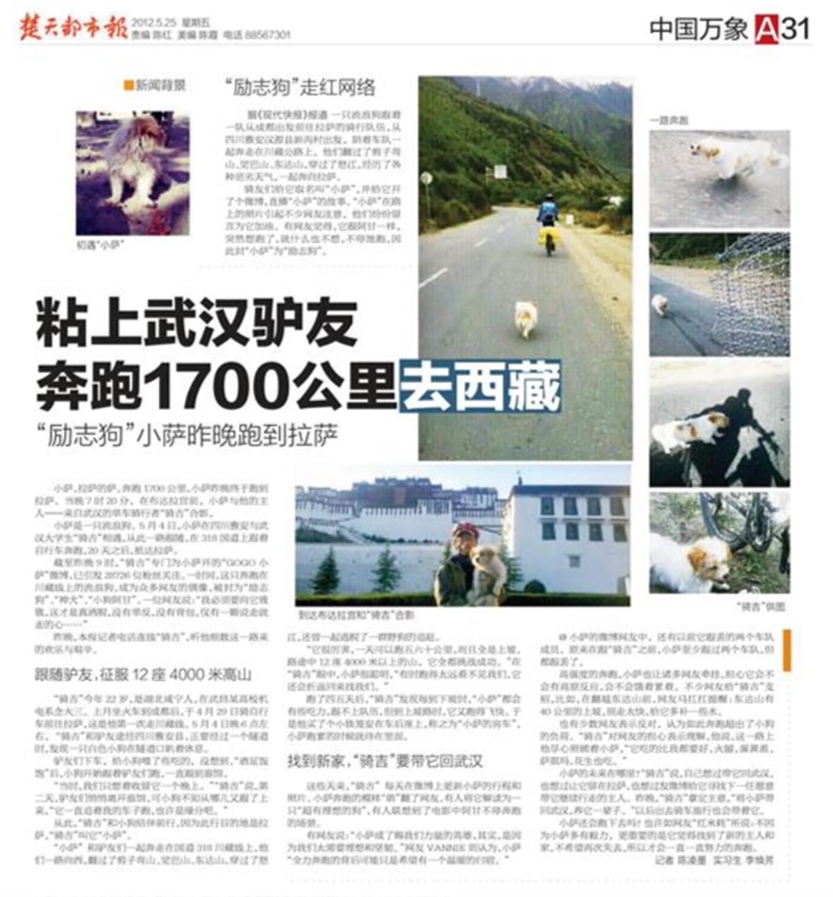 励志小狗 版面图.jpg