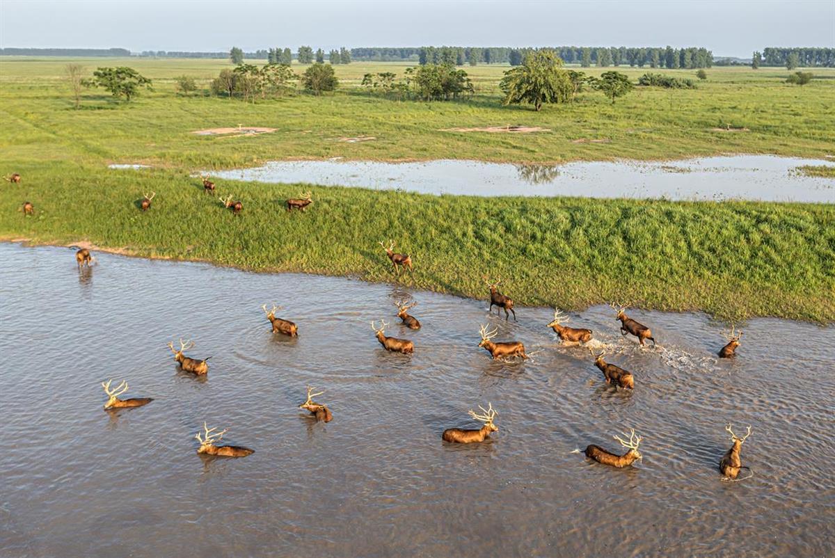 QQ图片20240710161559.png QQ图片20240710161559.png