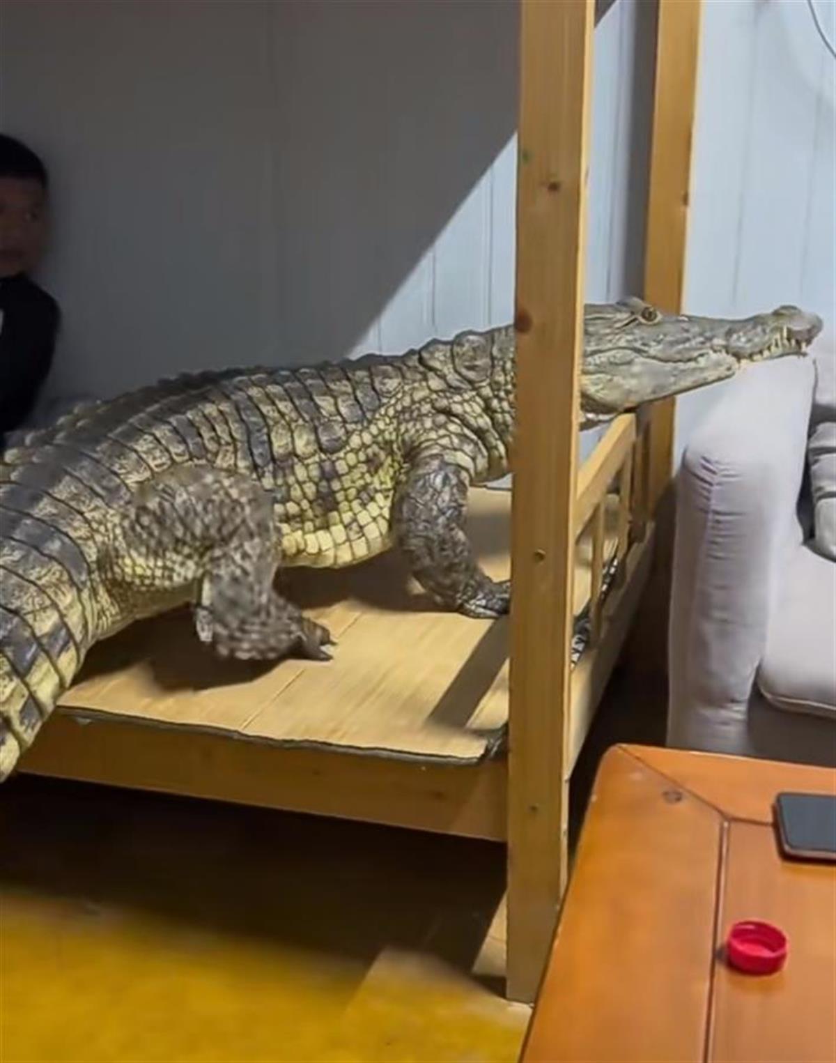 Screenshot_20240710_190242_com.tencent.mm_edit_14.jpg Screenshot_20240710_190242_com.tencent.mm_edit_14.jpg