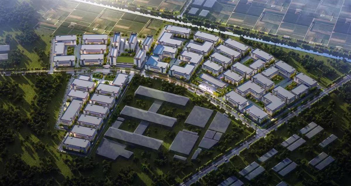 image005.jpg image005.jpg