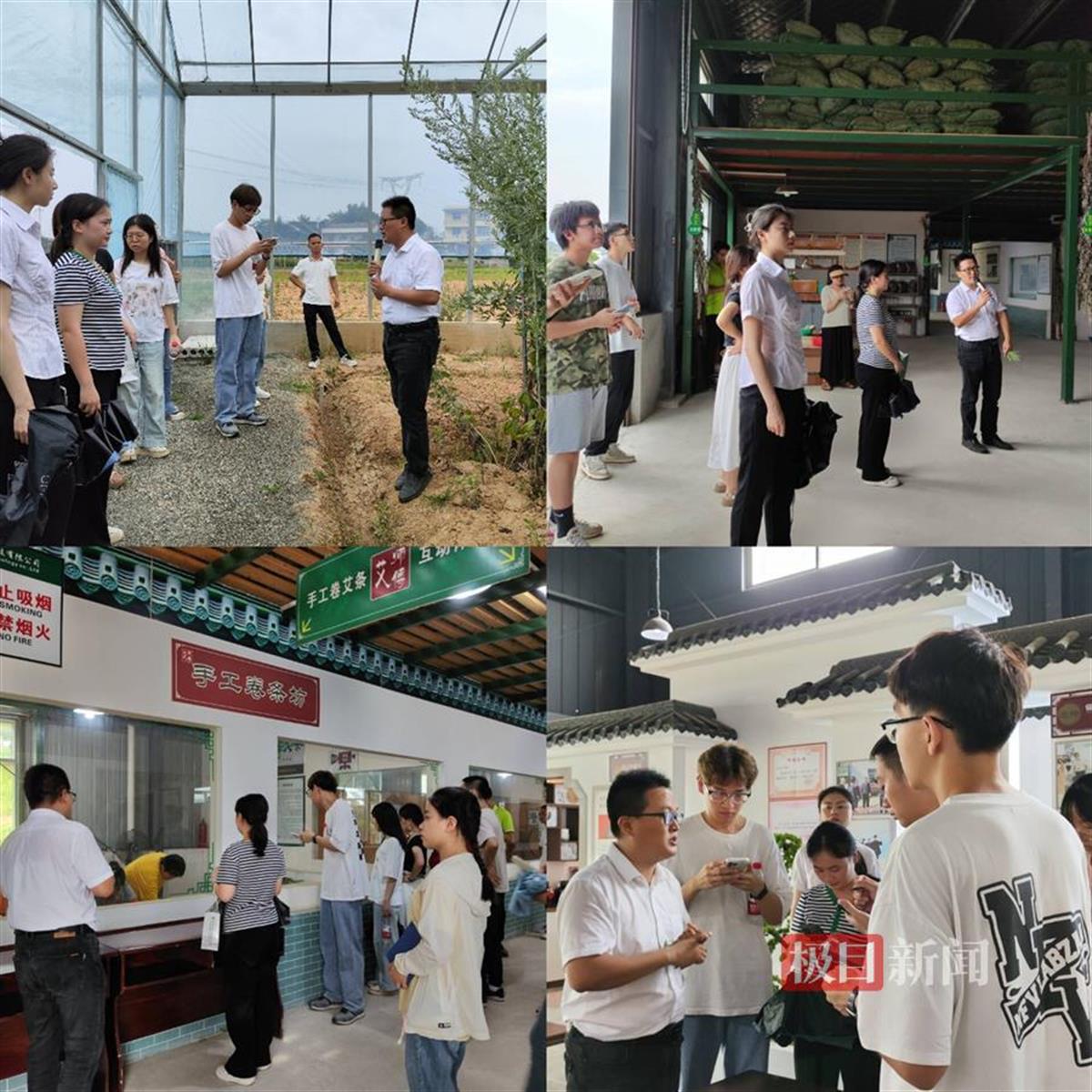 图片6.png 图片6.png