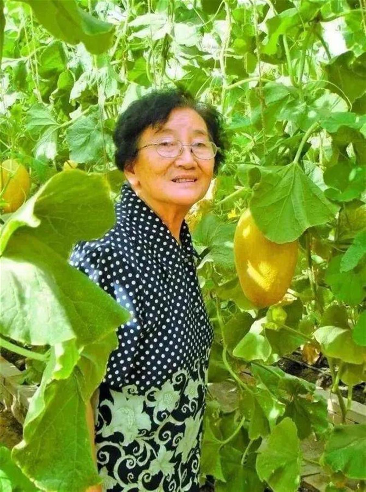 Ａ“西瓜院士”走红３.jpg