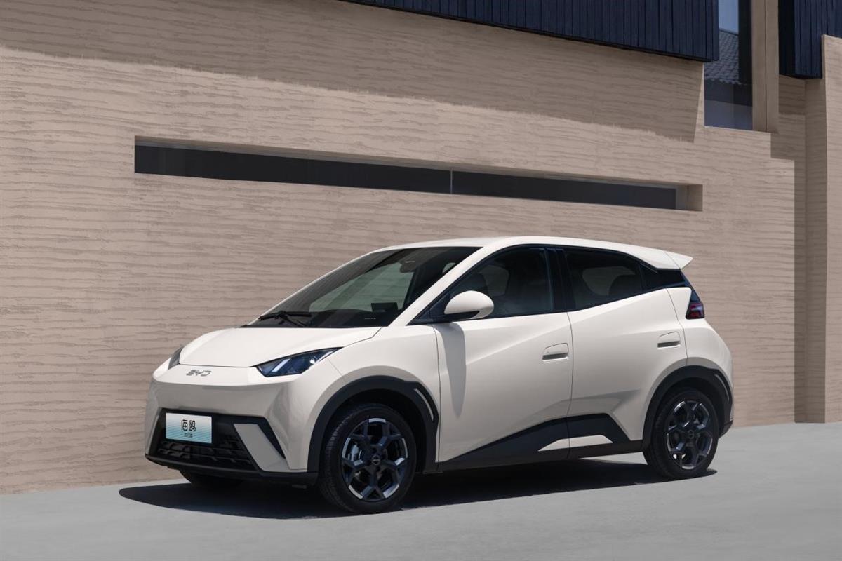 海鸥2.jpg 海鸥2.jpg