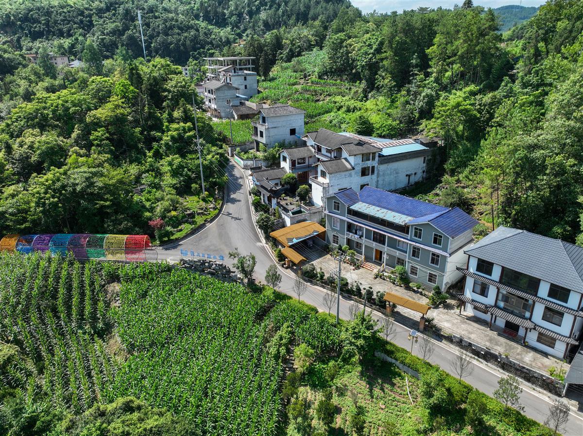 DJI_0203.JPG