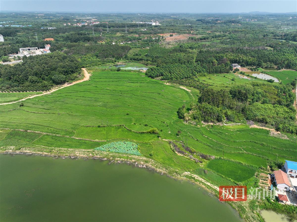 DJI_0632.JPG DJI_0632.JPG