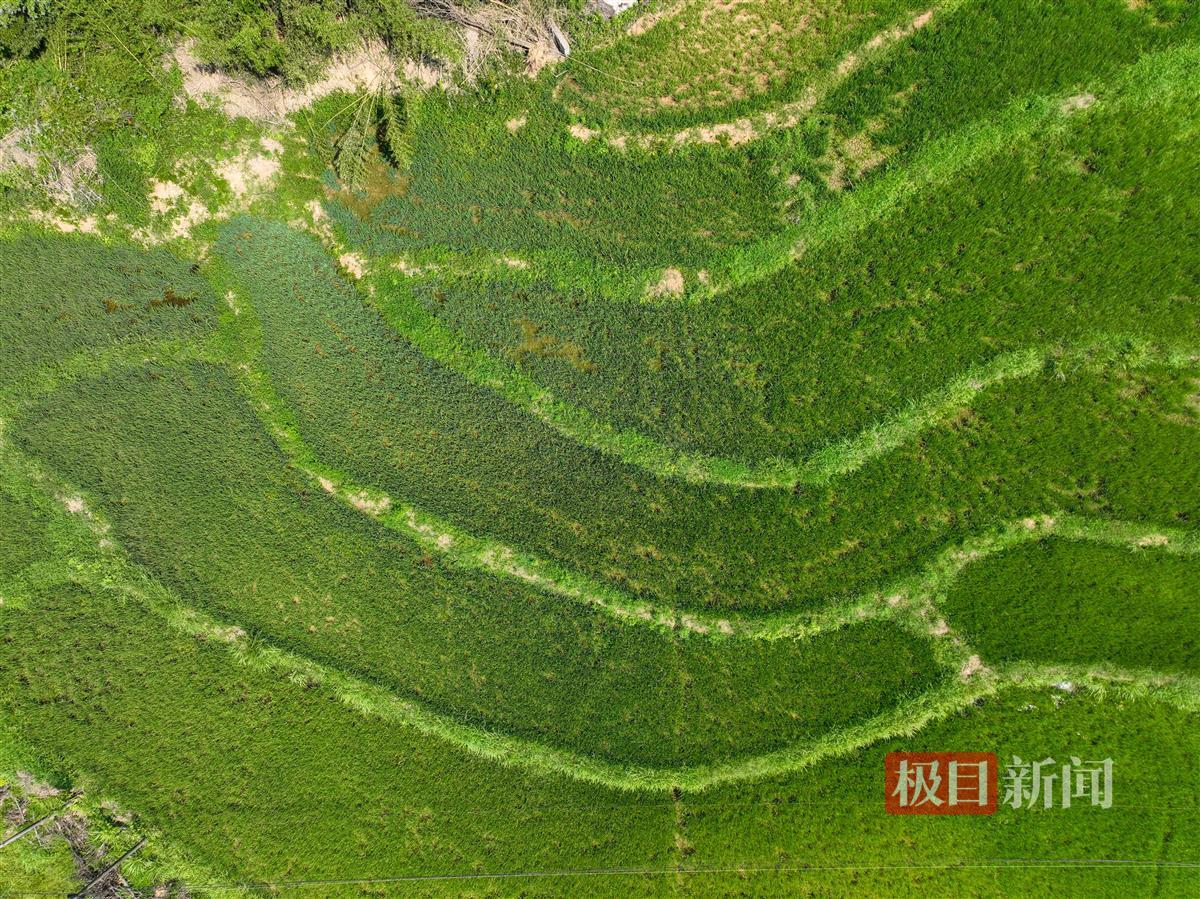 DJI_0642.JPG DJI_0642.JPG