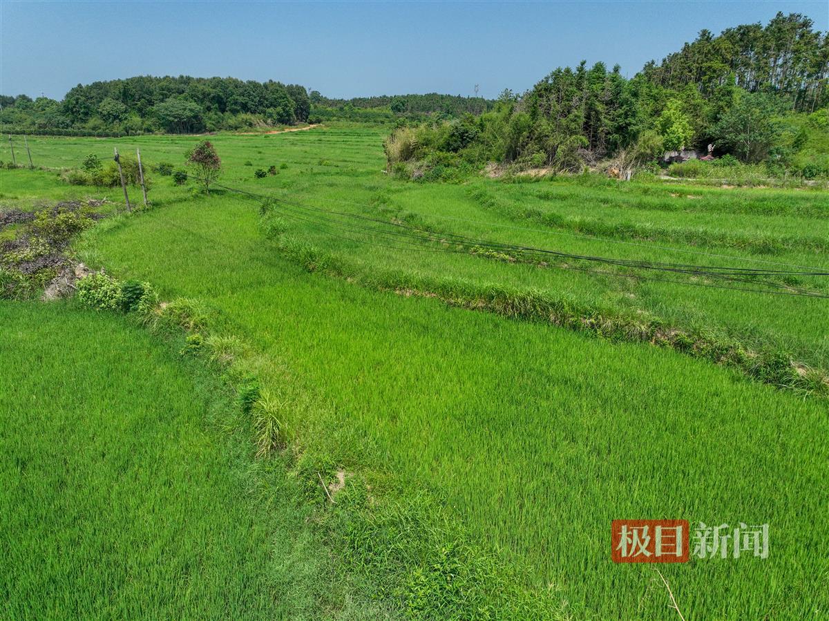 DJI_0625.JPG DJI_0625.JPG