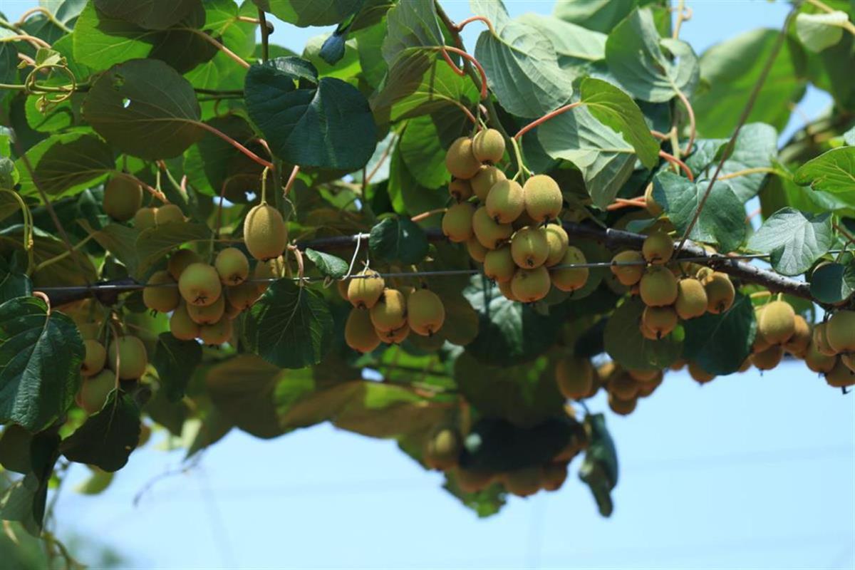 图片2-.png 图片2-.png