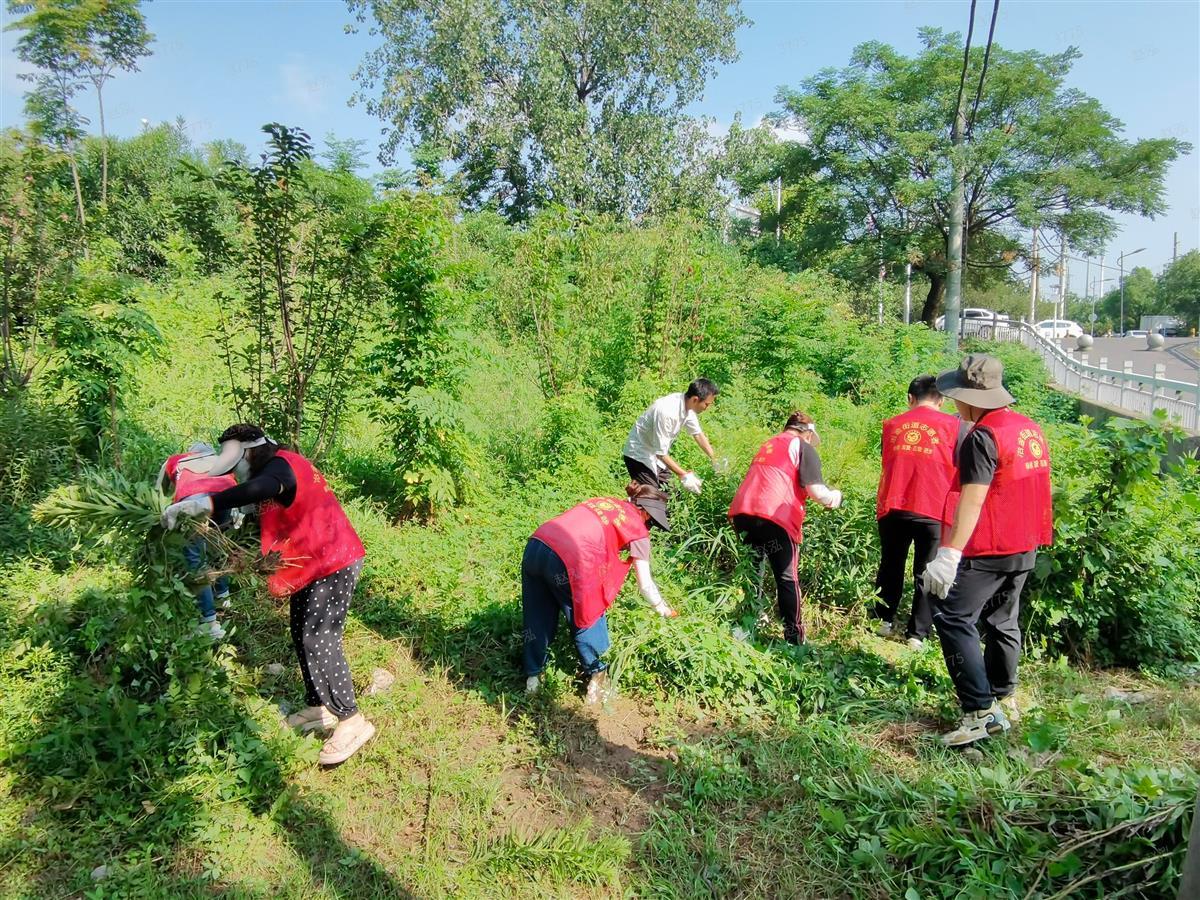 1.集中生长区清除现场.png 1.集中生长区清除现场.png