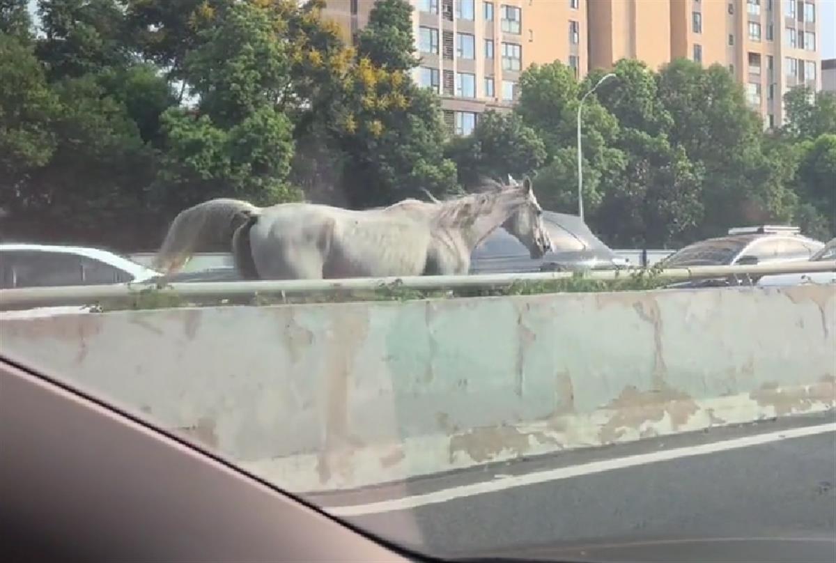 bfc1a581d81be26c22f1d08c12568ca.png bfc1a581d81be26c22f1d08c12568ca.png