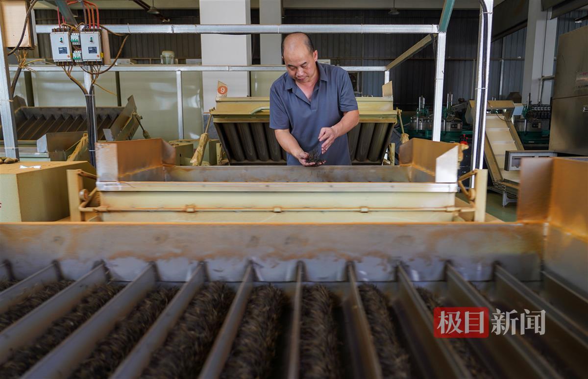 ZOU06152.JPG ZOU06152.JPG