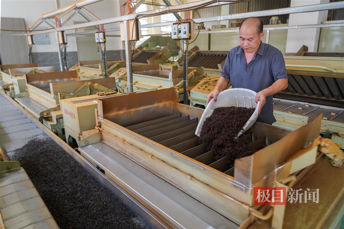 ZOU06225.JPG ZOU06225.JPG