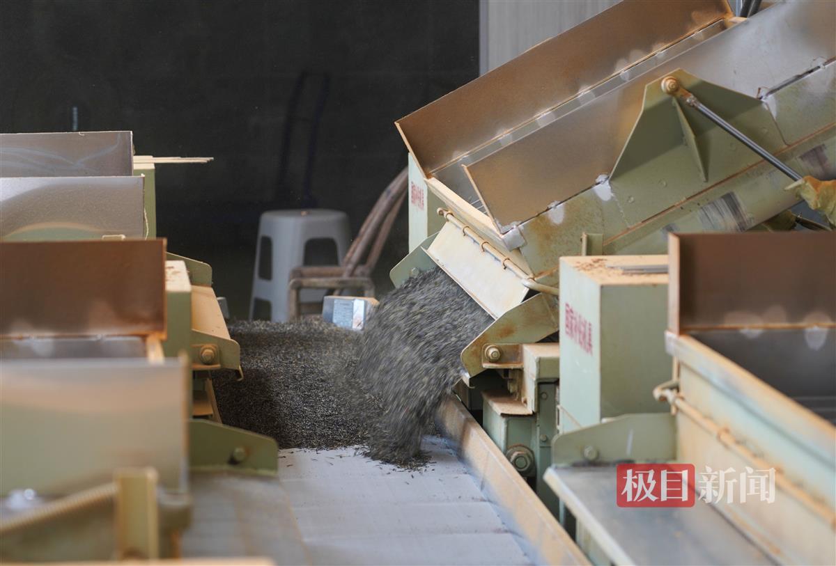 ZOU06196.JPG ZOU06196.JPG