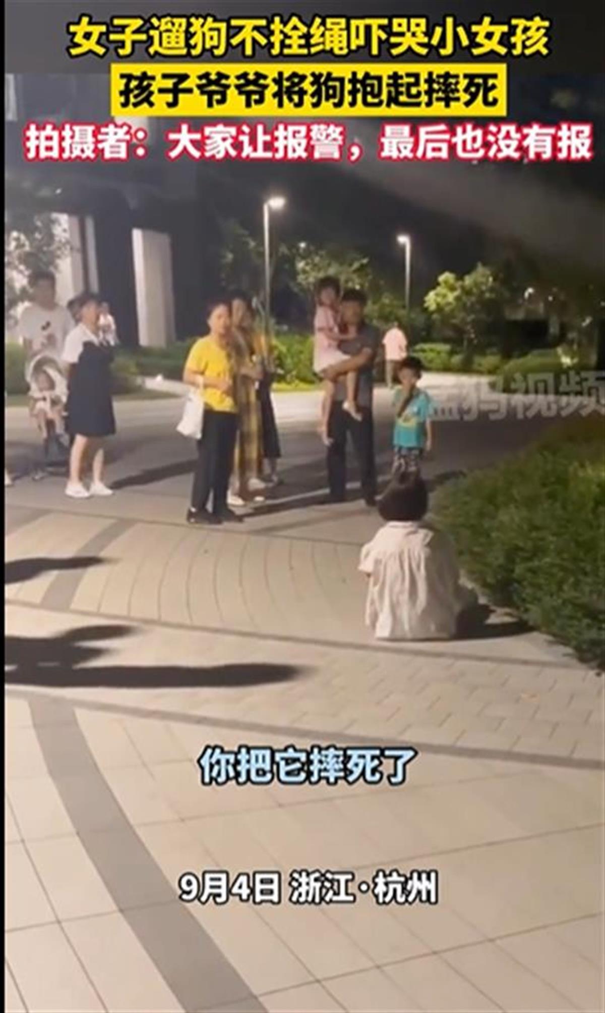 Ａ宠物狗不牵绳吓哭小孩被摔死.png