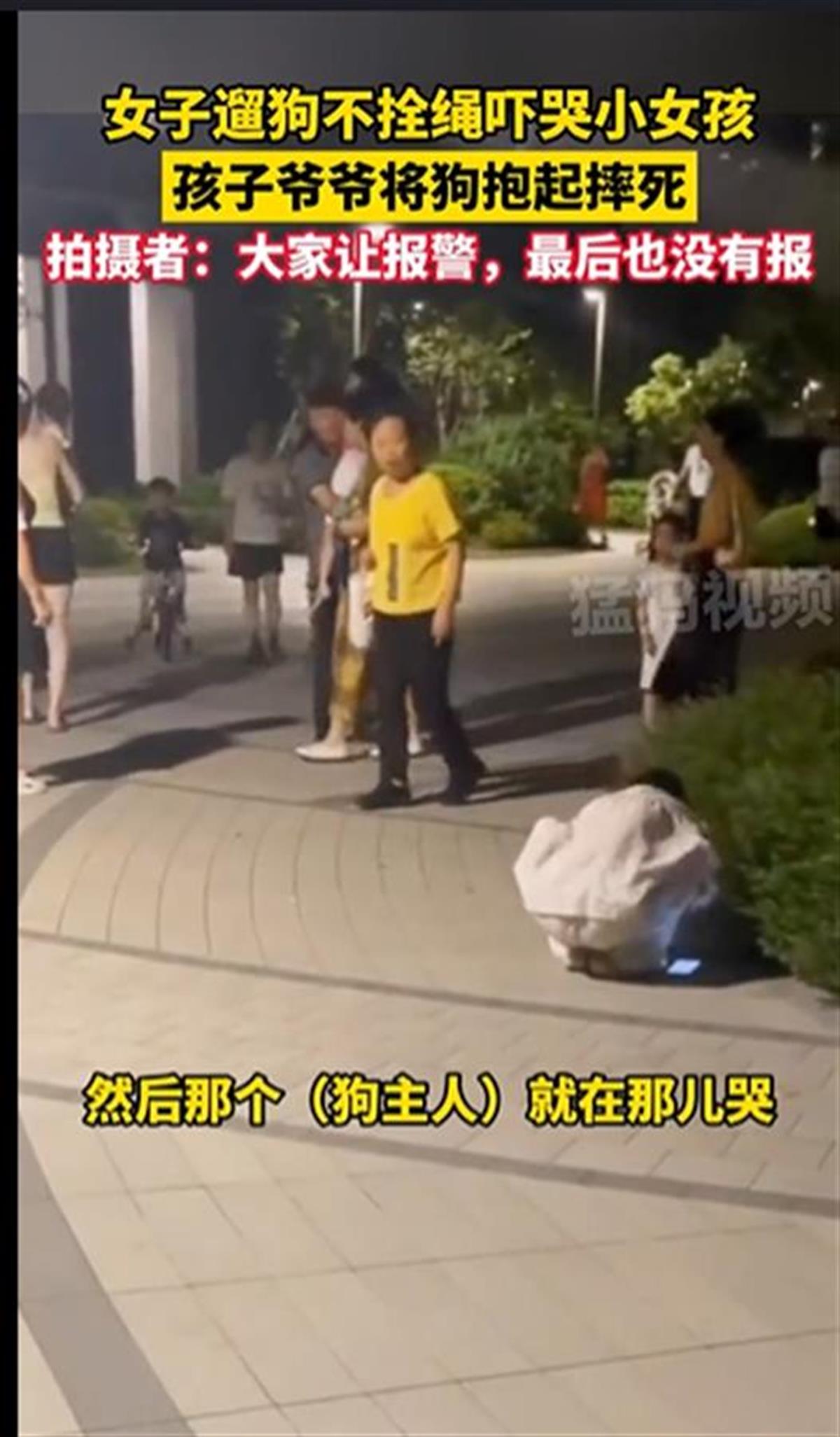 Ａ宠物狗不牵绳吓哭小孩被摔死２.png