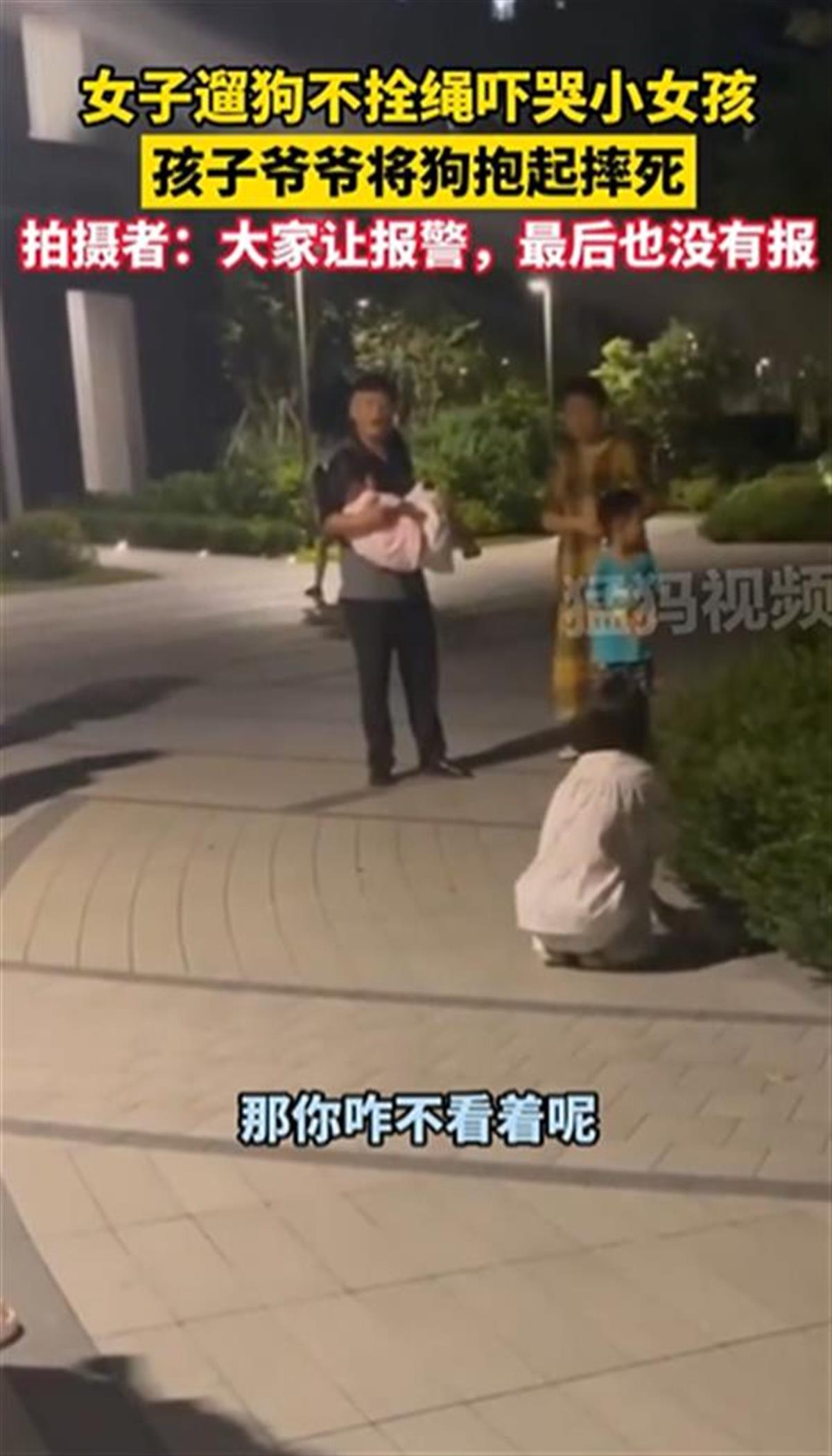 Ａ宠物狗不牵绳吓哭小孩被摔死３.png
