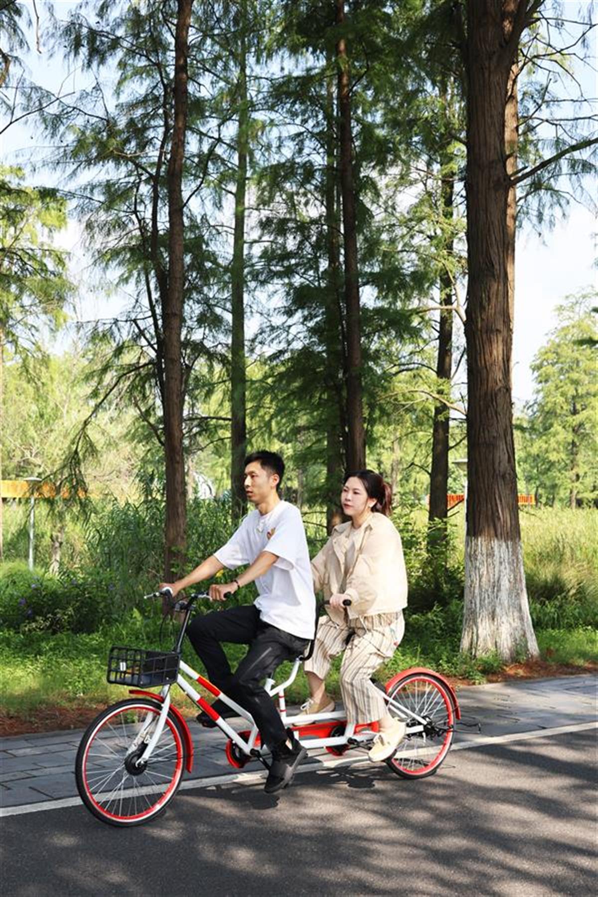 微信图片_20240906122349.jpg 微信图片_20240906122349.jpg