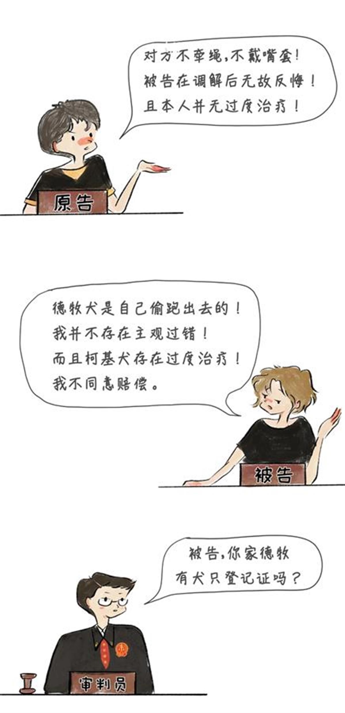 德牧两次咬伤柯基，女主人拒绝赔偿：它自己跑出去的我没错！