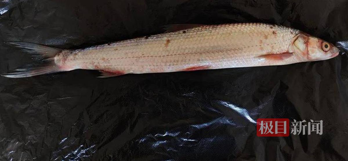 微信图片_20240910183350.png 微信图片_20240910183350.png