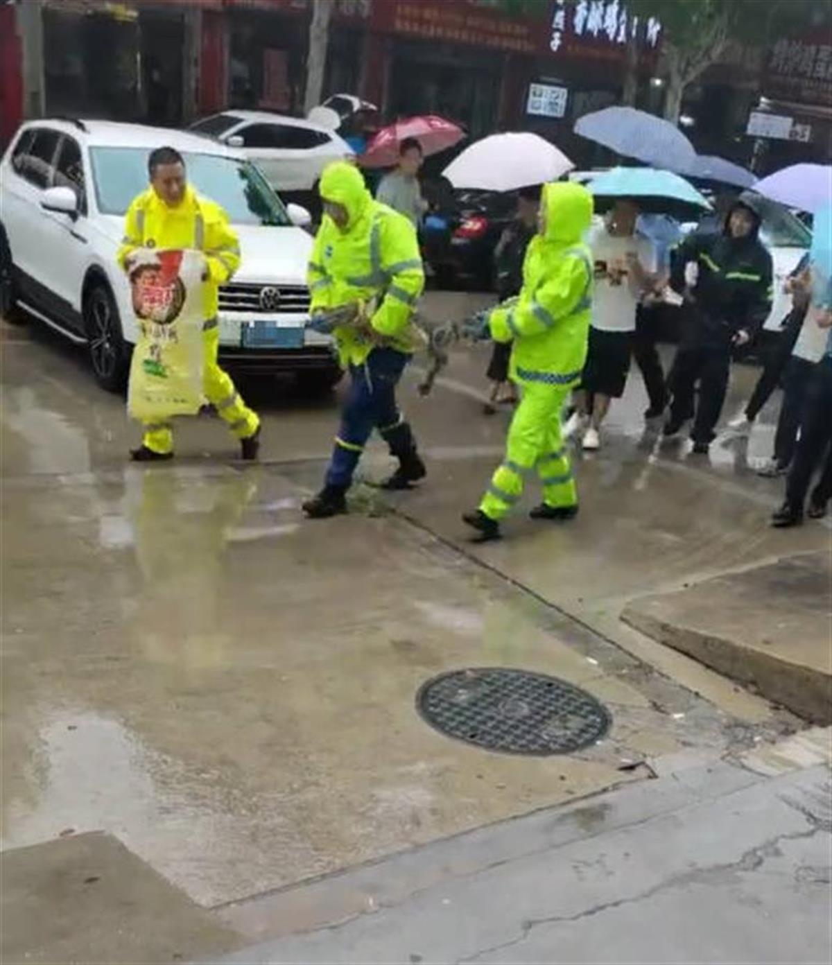 “出逃”鳄鱼被抓获，济宁当地：就一条，嘴是被封着的