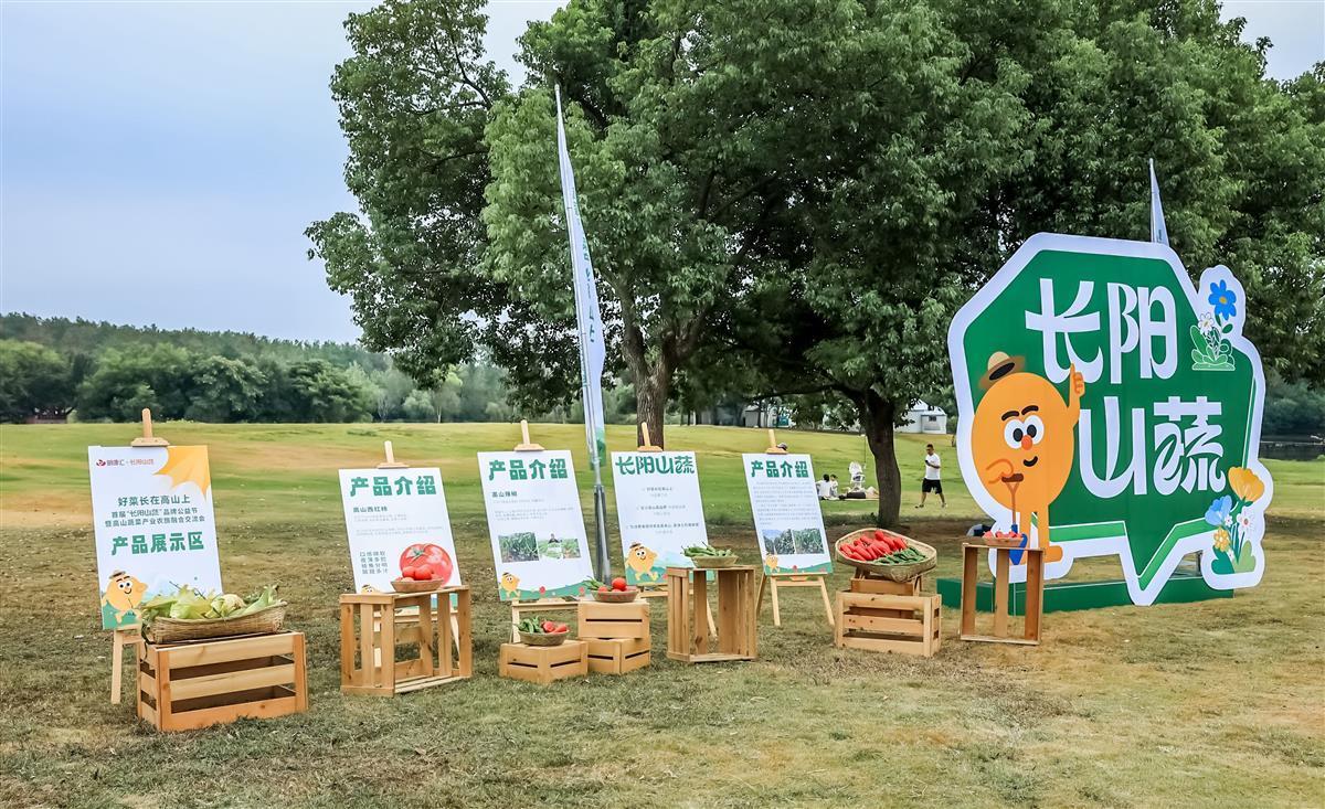 现场展示的“长阳山蔬”.jpg