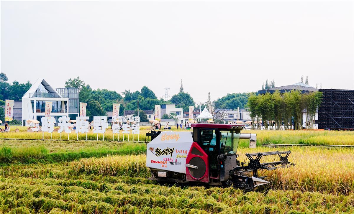 微信图片_20240919232953.jpg 微信图片_20240919232953.jpg