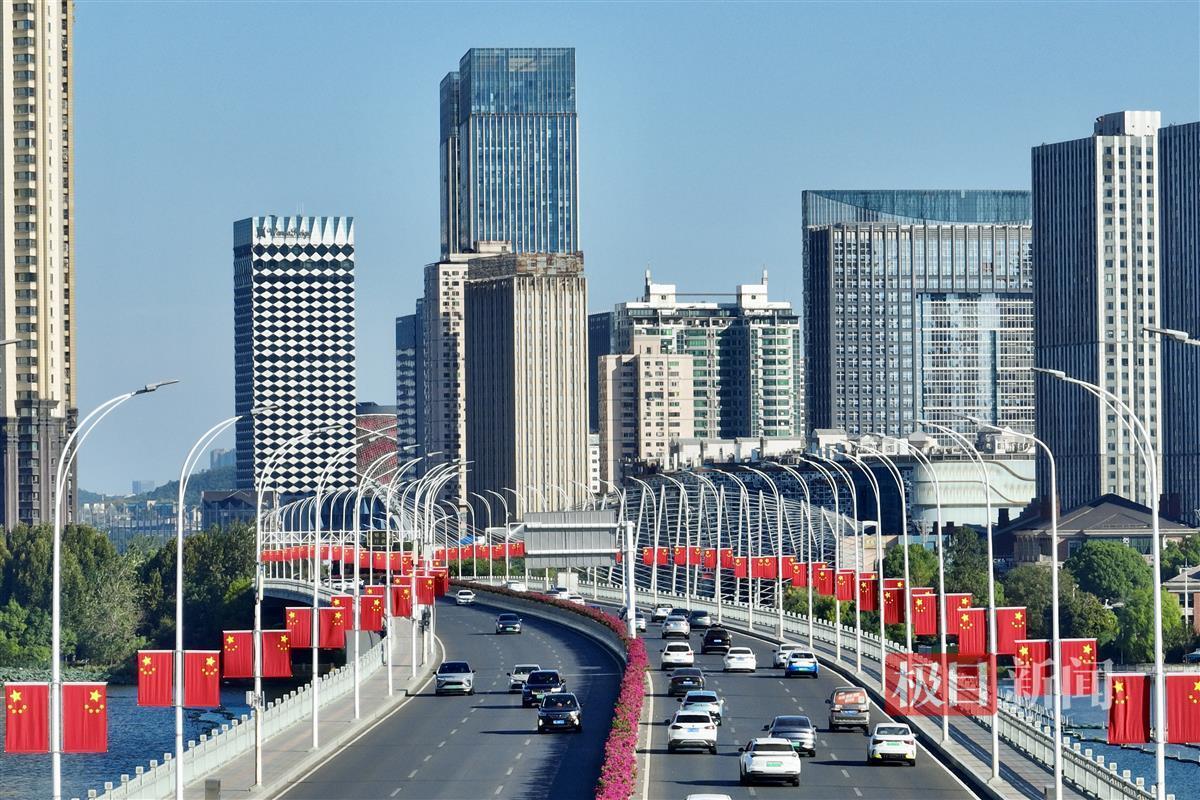沙湖大桥 (2).jpg