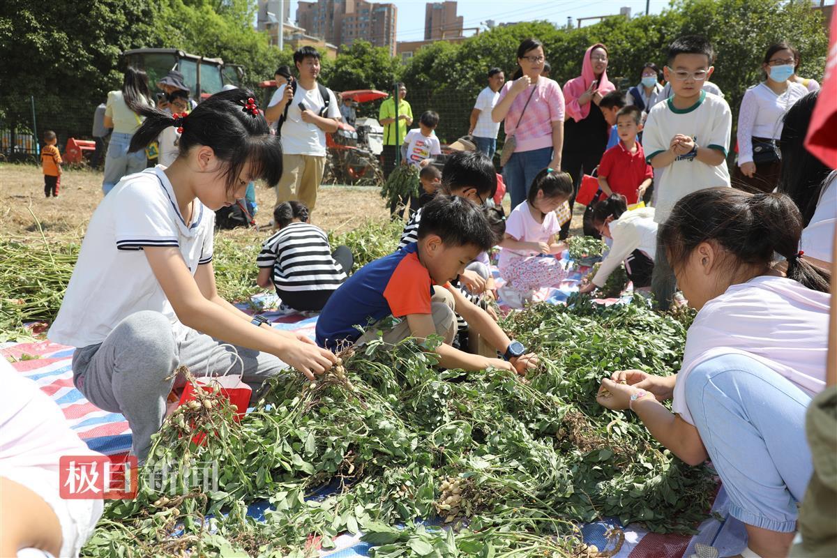 359A4184.JPG 359A4184.JPG