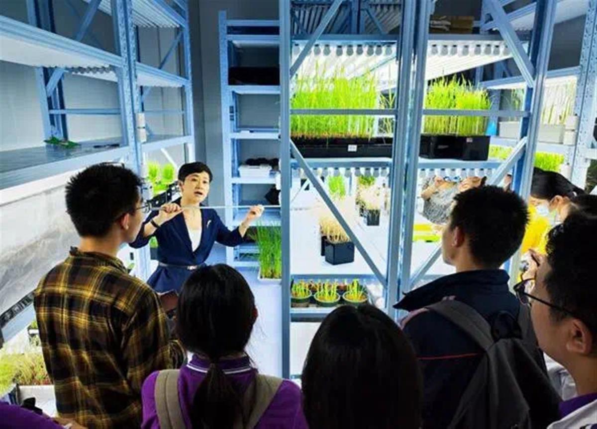 武大先修班同学参观武汉大学杂交水稻研究中心.png