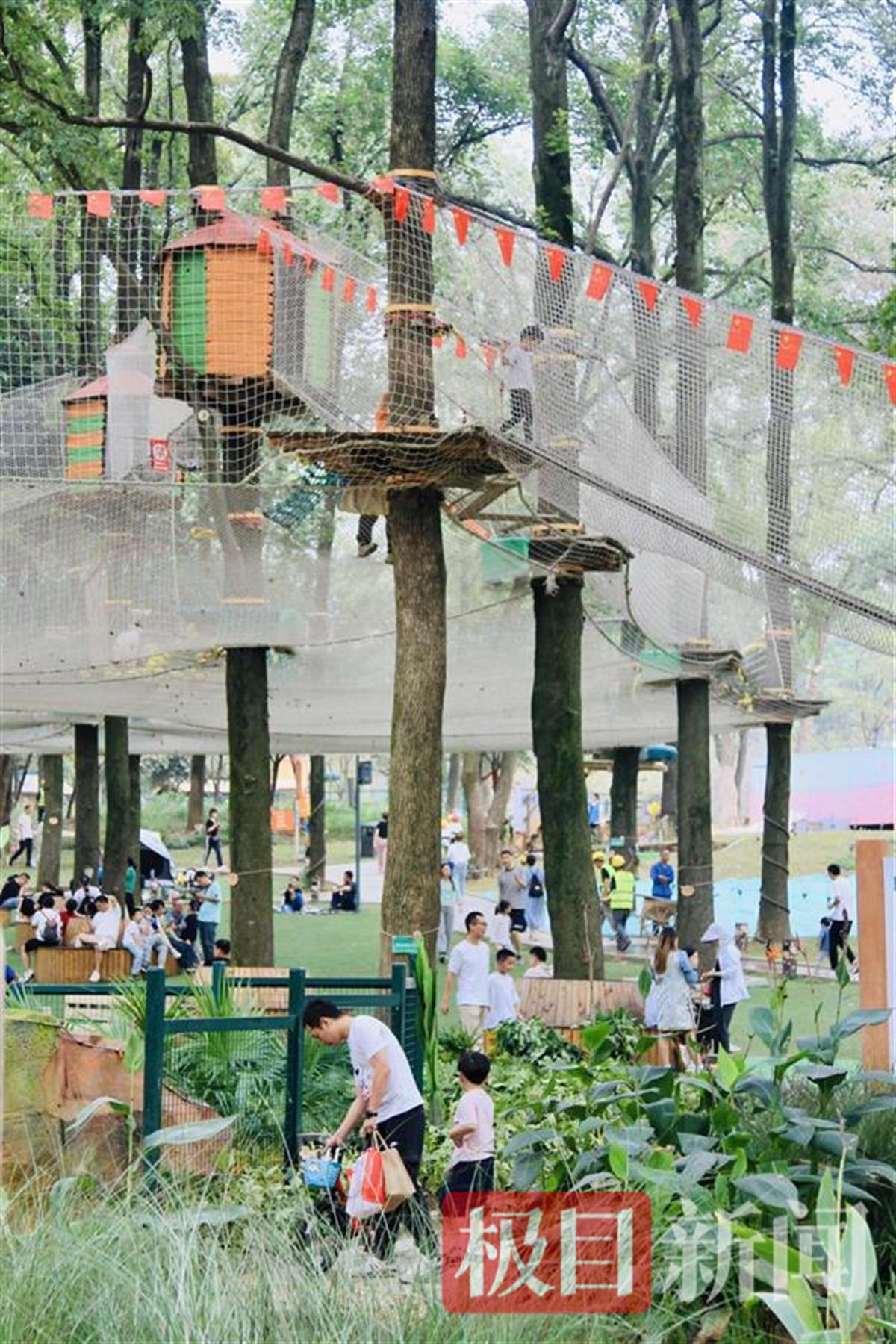 图片8.png 图片8.png