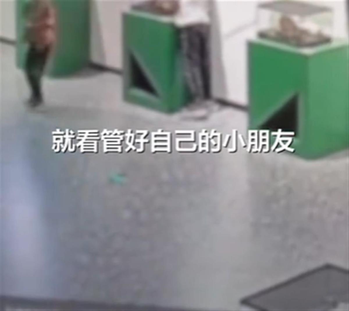 小孩拿走博物馆的昆虫1.png