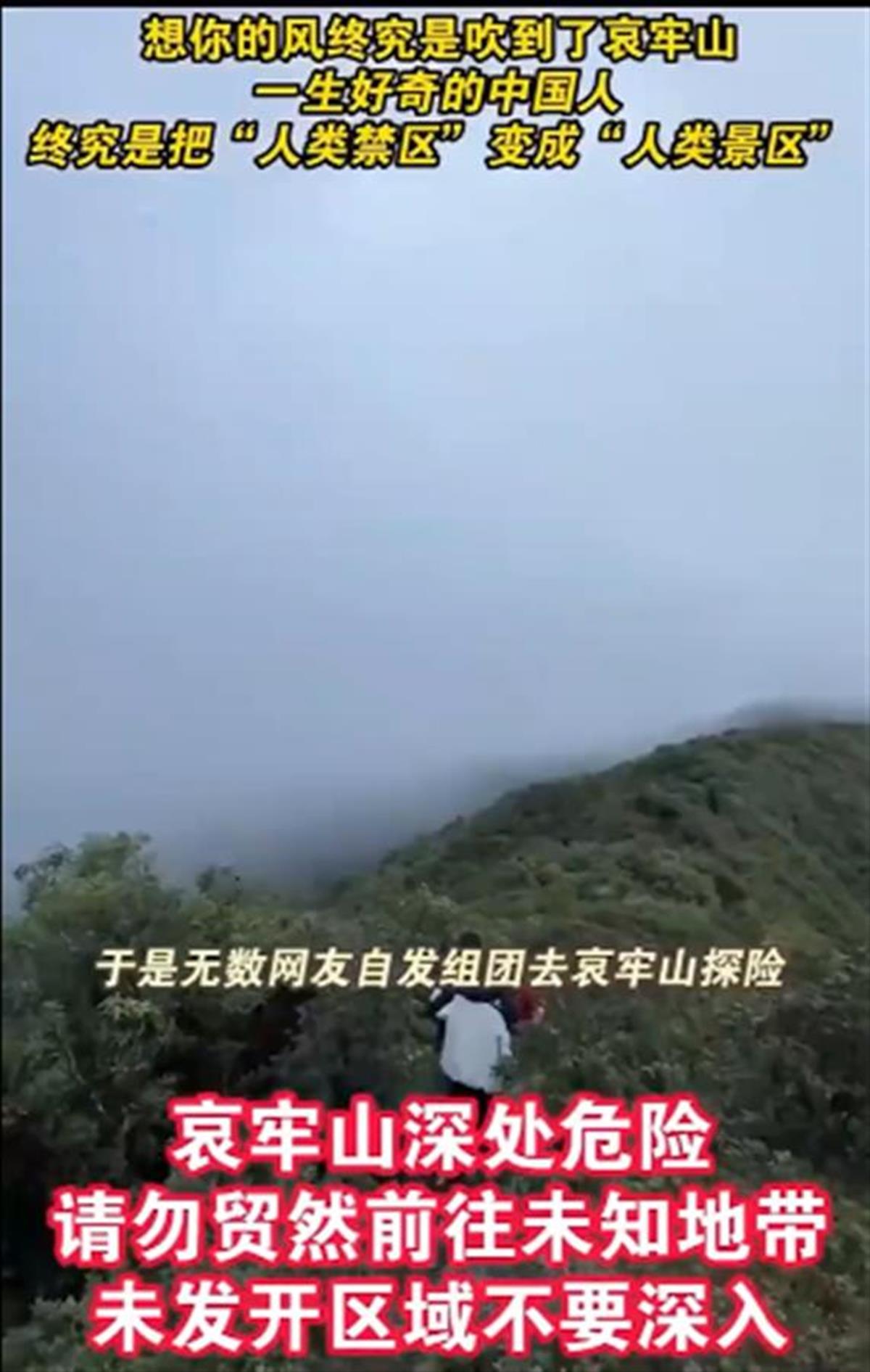 想你的风吹到了哀牢山4.png