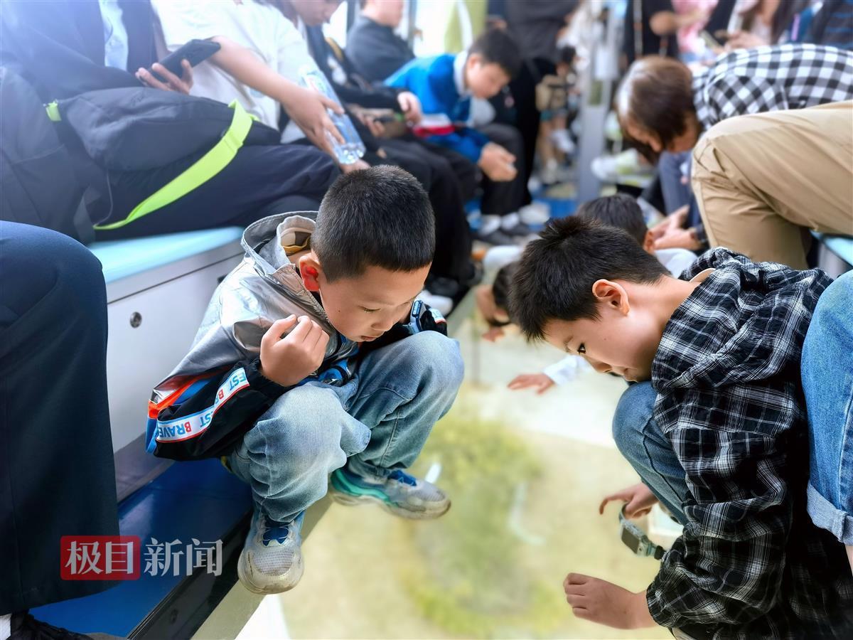 小游客喜欢从观景玻璃看下面景色.jpg