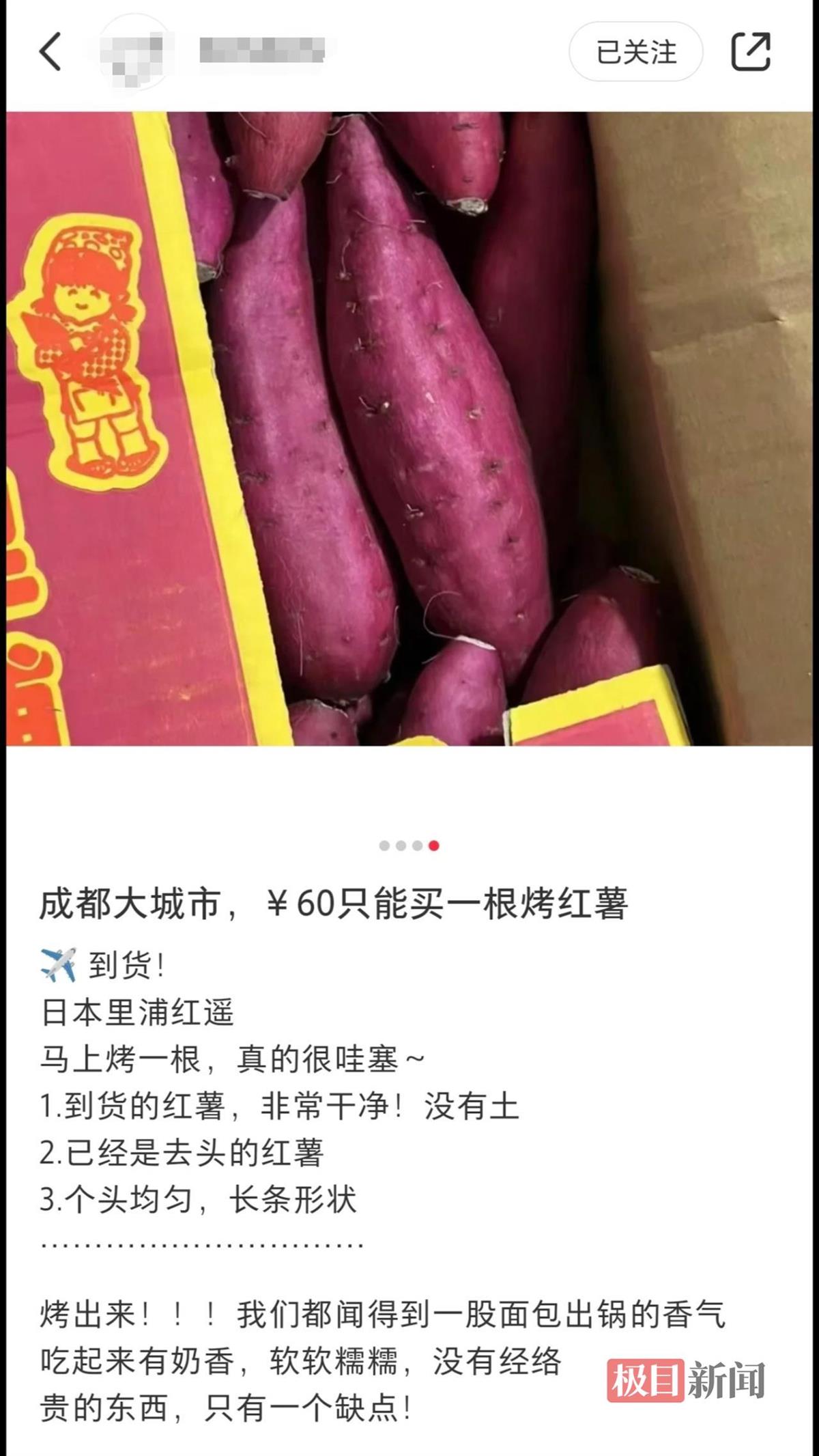 实探成都“60元烤红薯”店：已两天未营业，市监部门介入调查