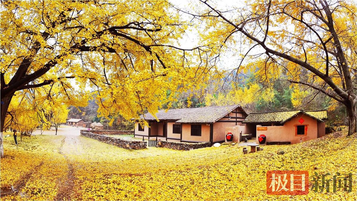 3.小图:银杏谷休闲度假区.png 3.小图:银杏谷休闲度假区.png