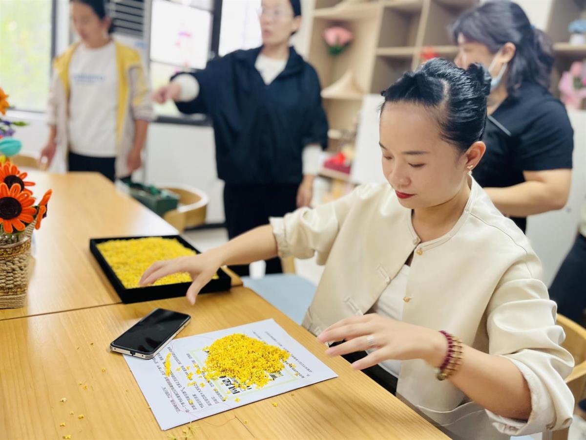 图片1.jpg 图片1.jpg