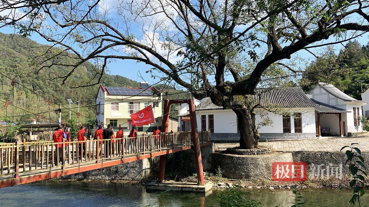 探寻古树2.jpg