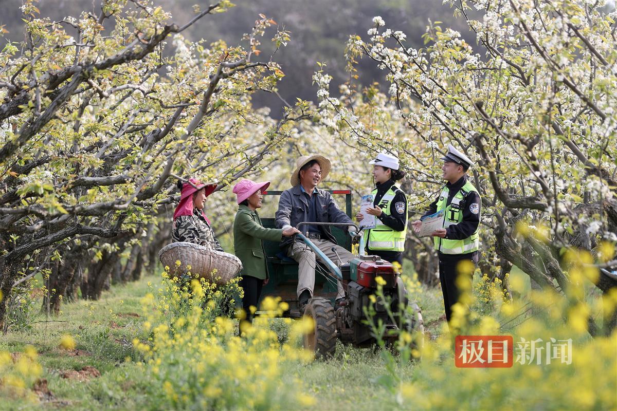 严管善治  筑牢道路交通平安防线 (5).jpg
