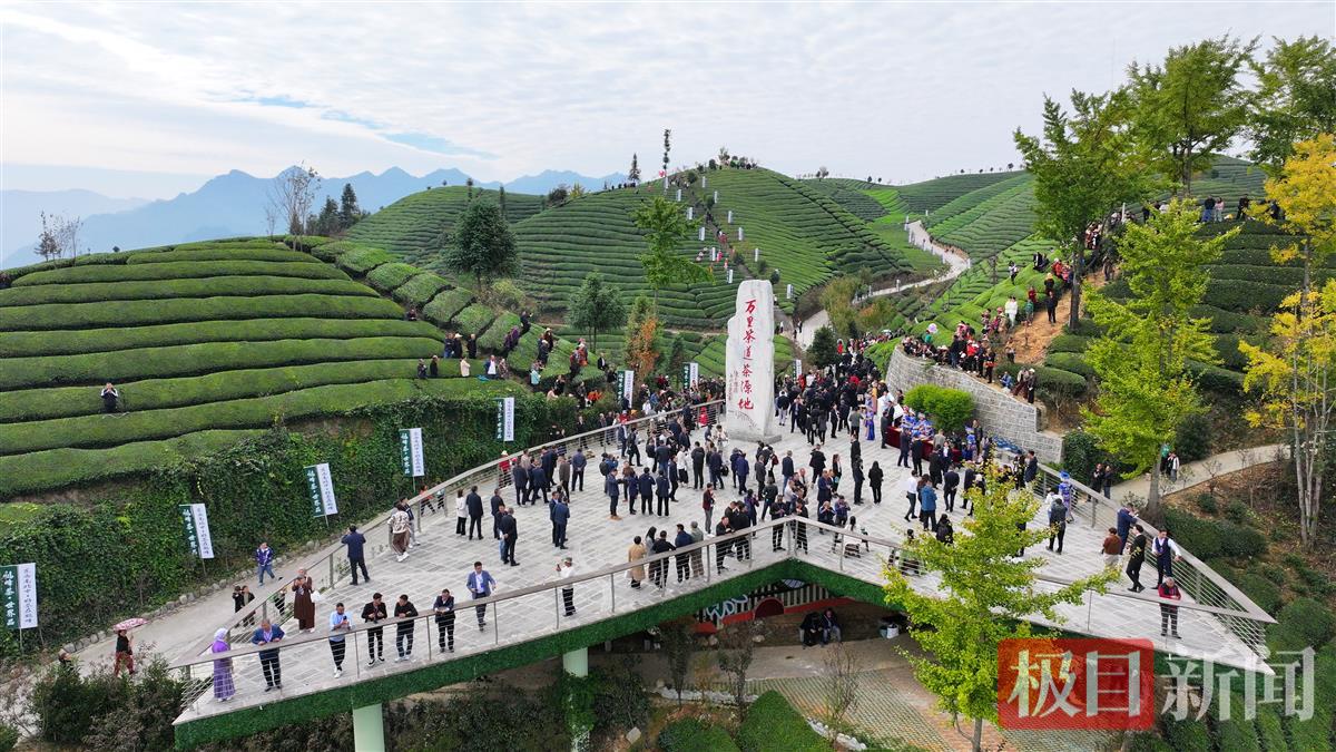 徐可2.JPG