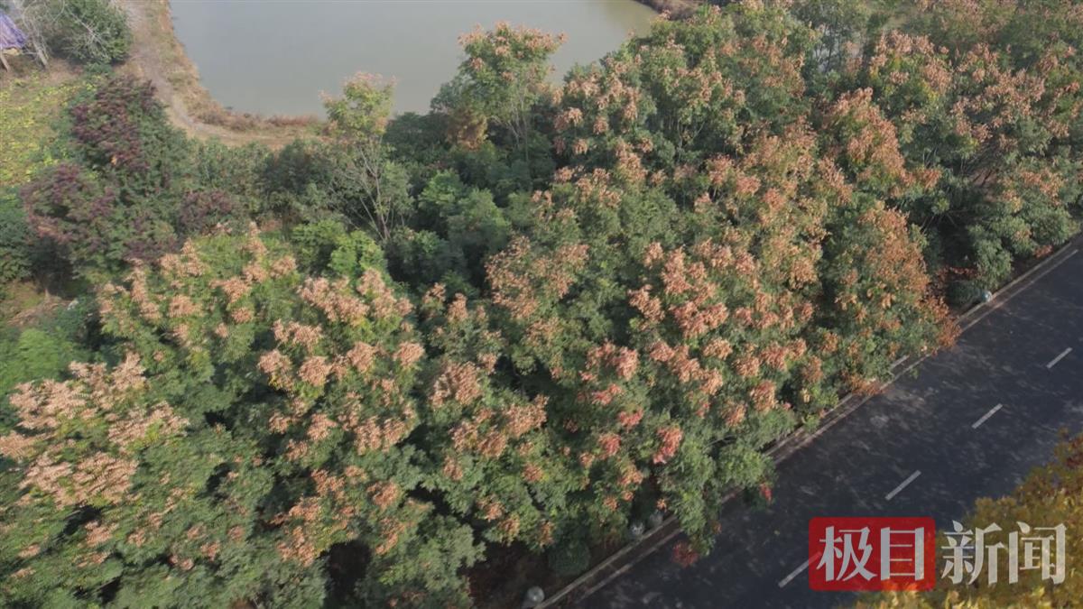 微信图片_20241028092433.jpg 微信图片_20241028092433.jpg
