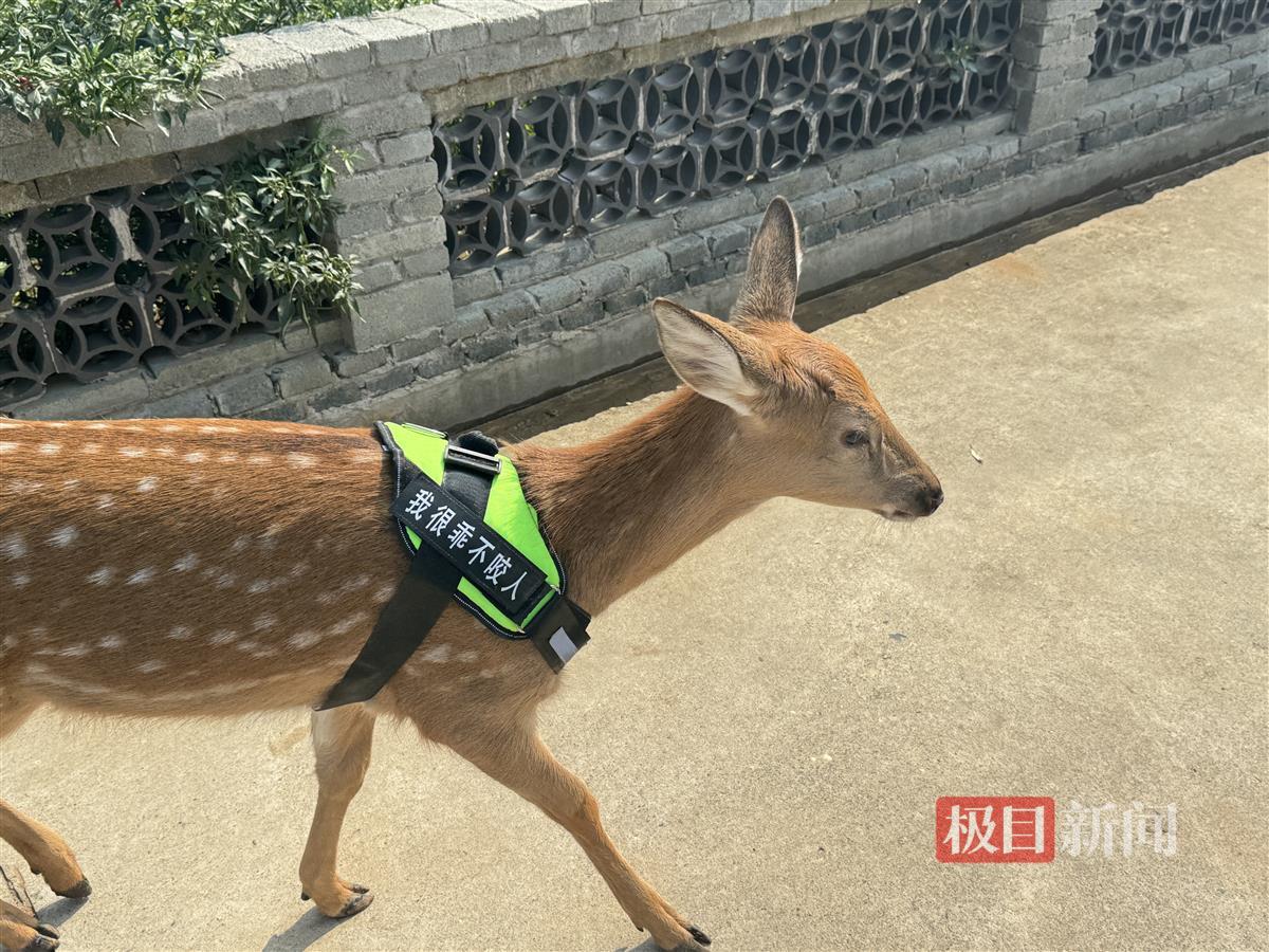 微信图片_20241029124502.jpg