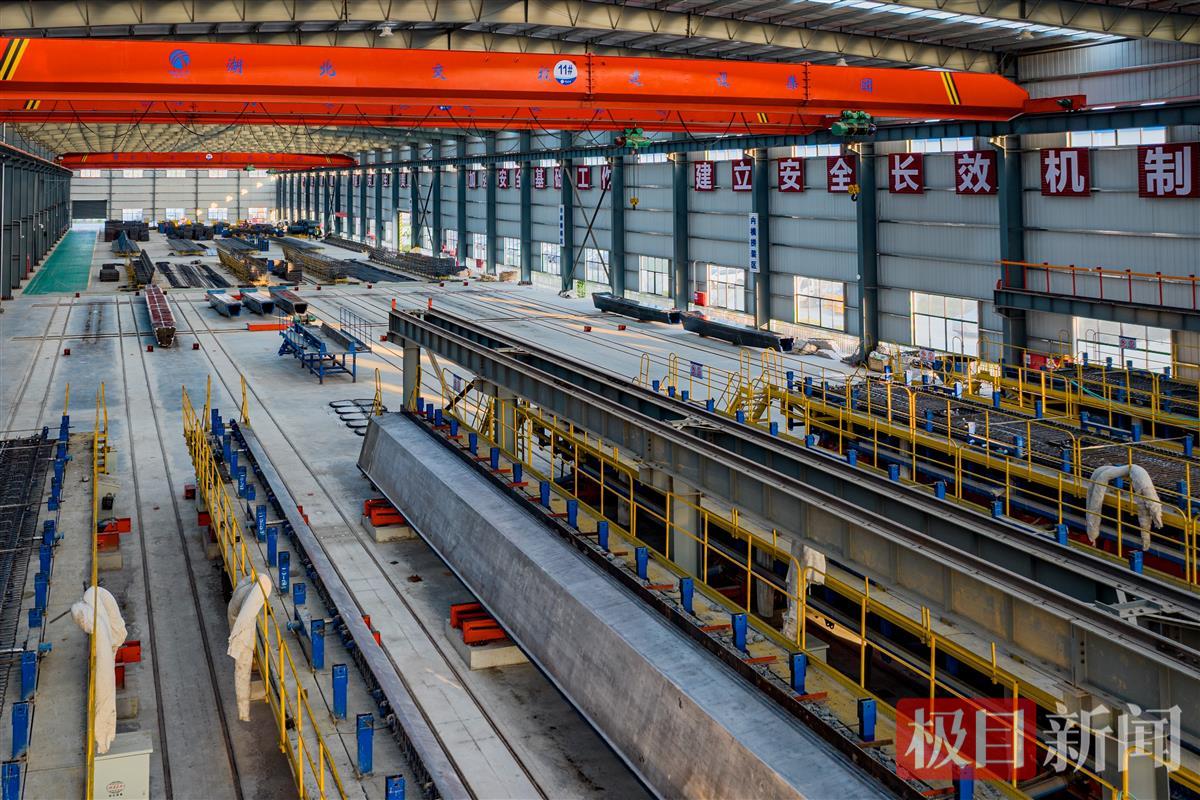 mmexport1730166602532.jpg mmexport1730166602532.jpg