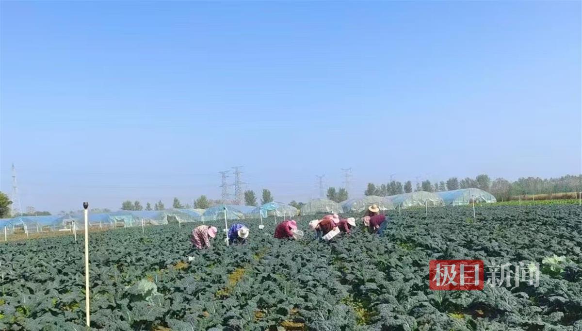 6a0db975ca1ab4d82310b0c2b824da30_pub_cb202411051803206605517n2h.jpg 6a0db975ca1ab4d82310b0c2b824da30_pub_cb202411051803206605517n2h.jpg