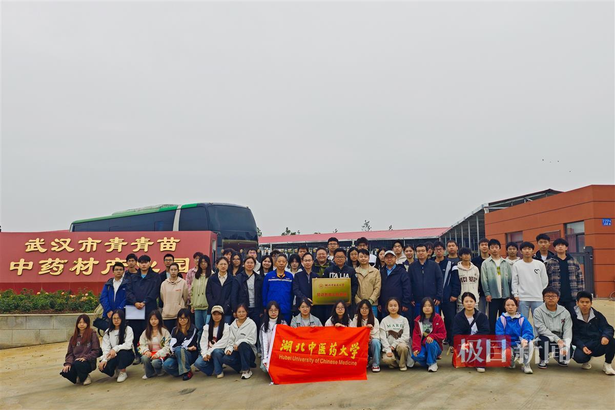 图片13.png