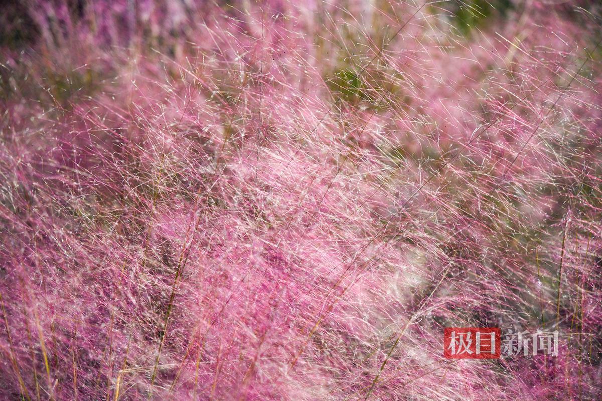 微信图片_20241111171836.jpg 微信图片_20241111171836.jpg